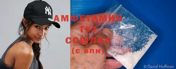 mdpv Вяземский