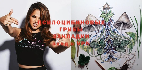 прущие грибы Волоколамск