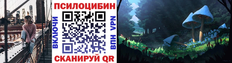 Галлюциногенные грибы Cubensis  Гаврилов Посад 